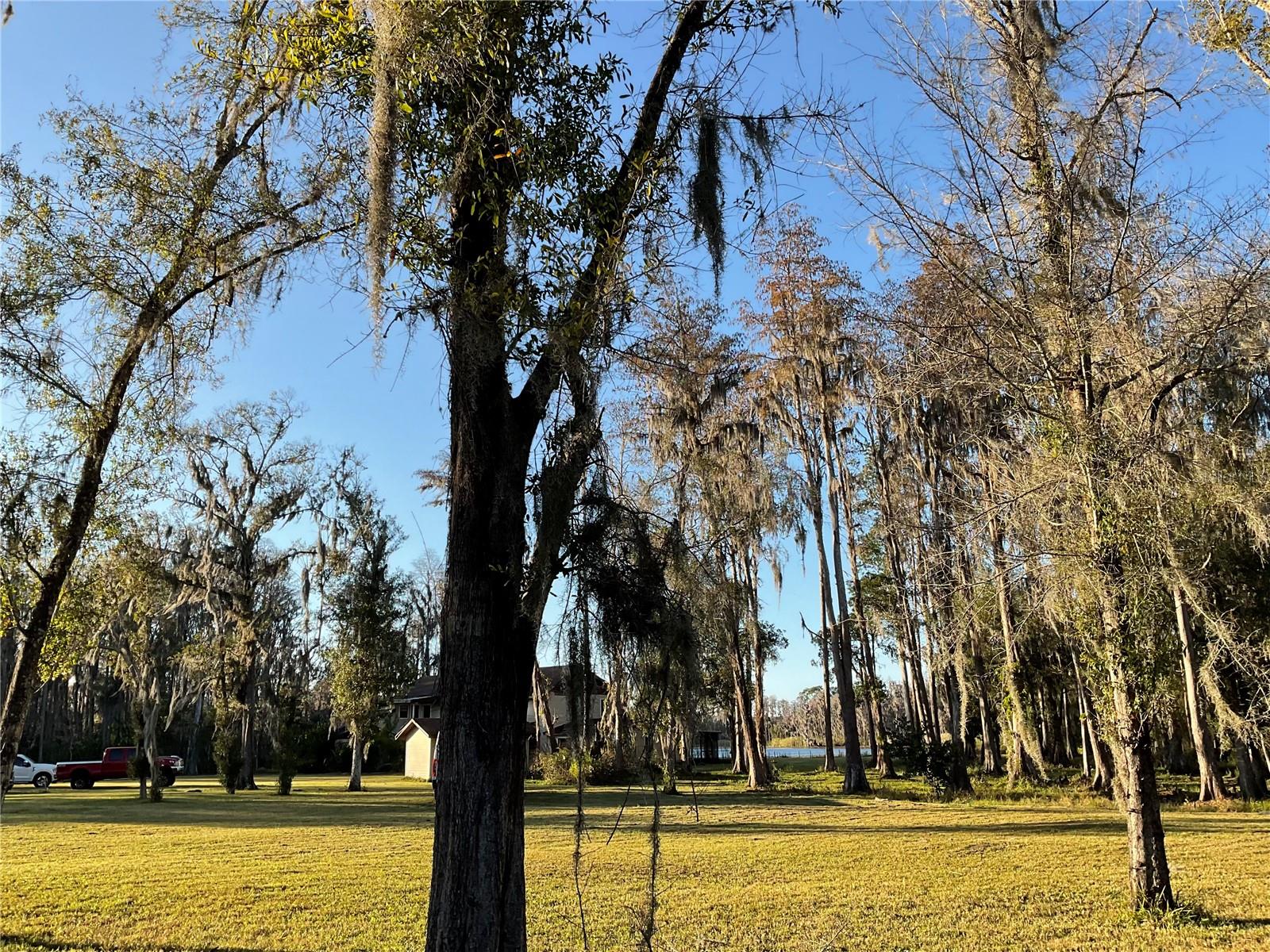 Details for 1029 Van Dyke Road, LUTZ, FL 33548