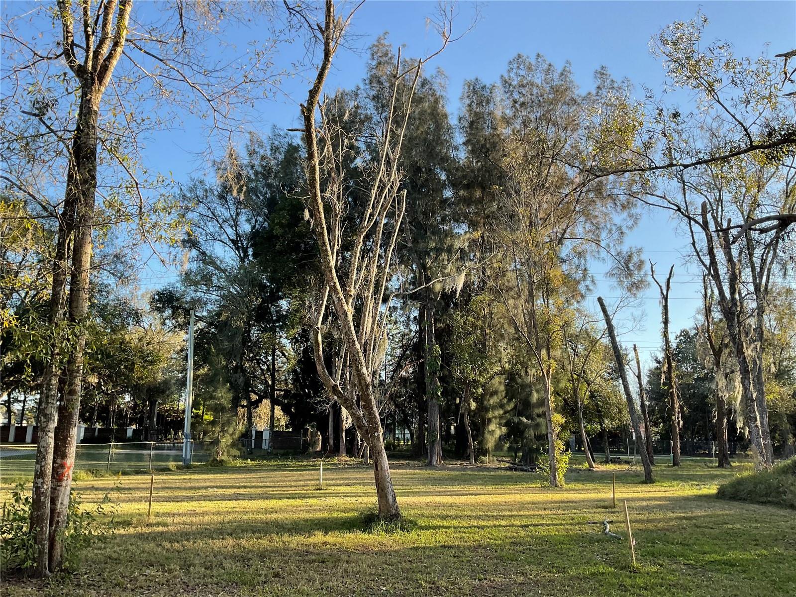 Image 6 of 12 For 1029 Van Dyke Road