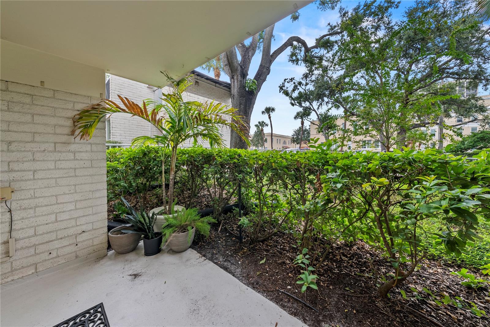 Listing photo id 14 for 3325 Bayshore Boulevard C11