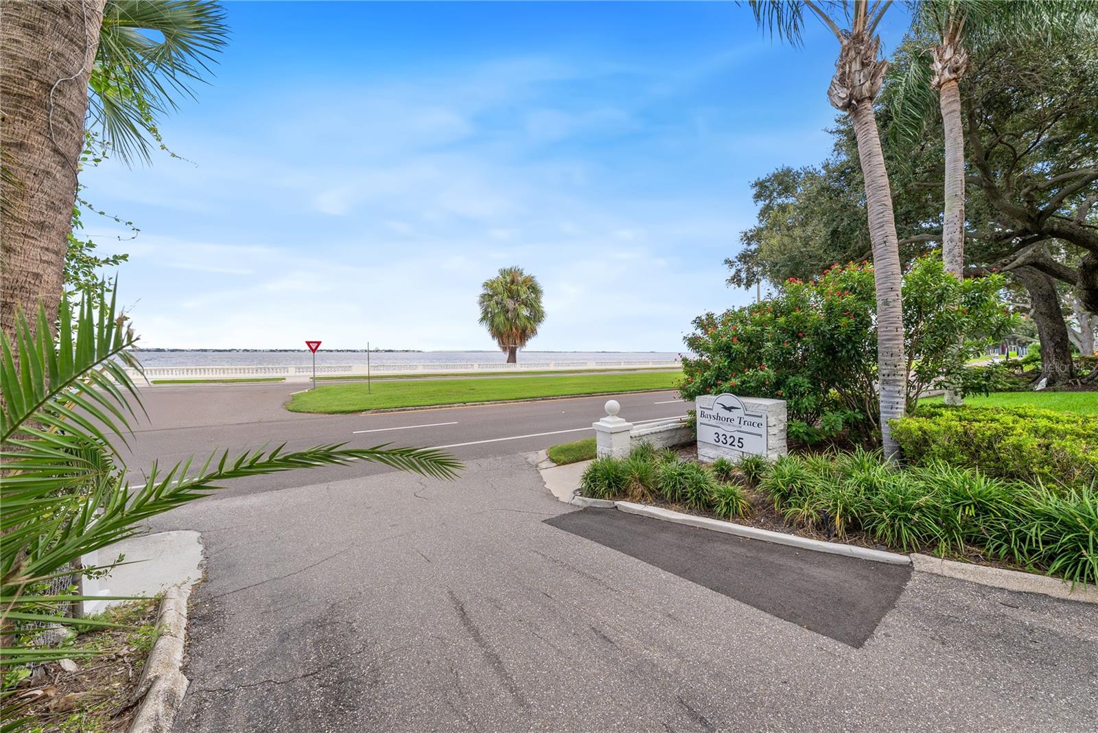Listing photo id 0 for 3325 Bayshore Boulevard C11