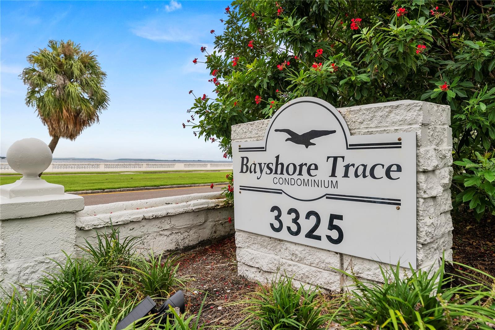 Listing photo id 19 for 3325 Bayshore Boulevard C11