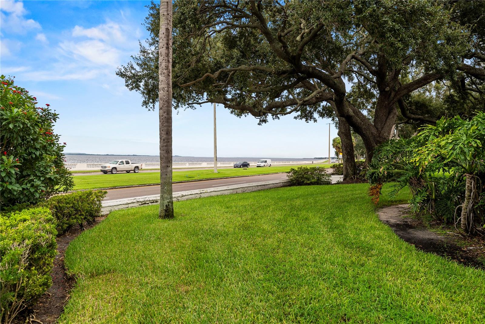 Listing photo id 3 for 3325 Bayshore Boulevard C11