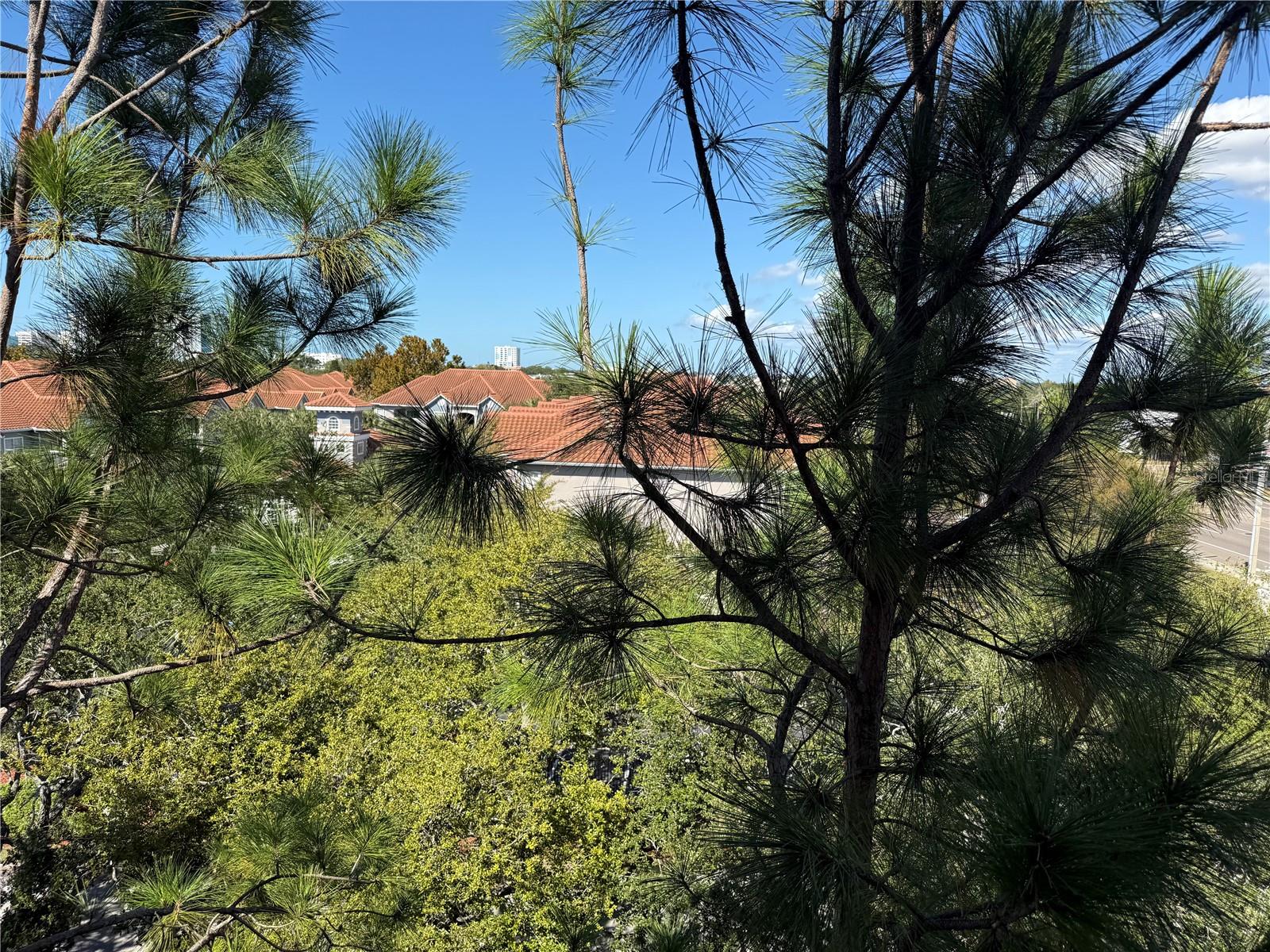 Image 29 of 29 For 1216 Missouri Avenue 406