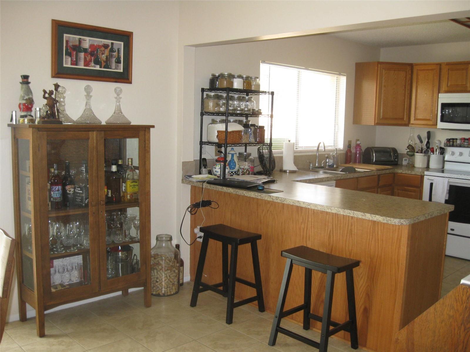 Image 10 of 32 For 2010 Santiago Way S