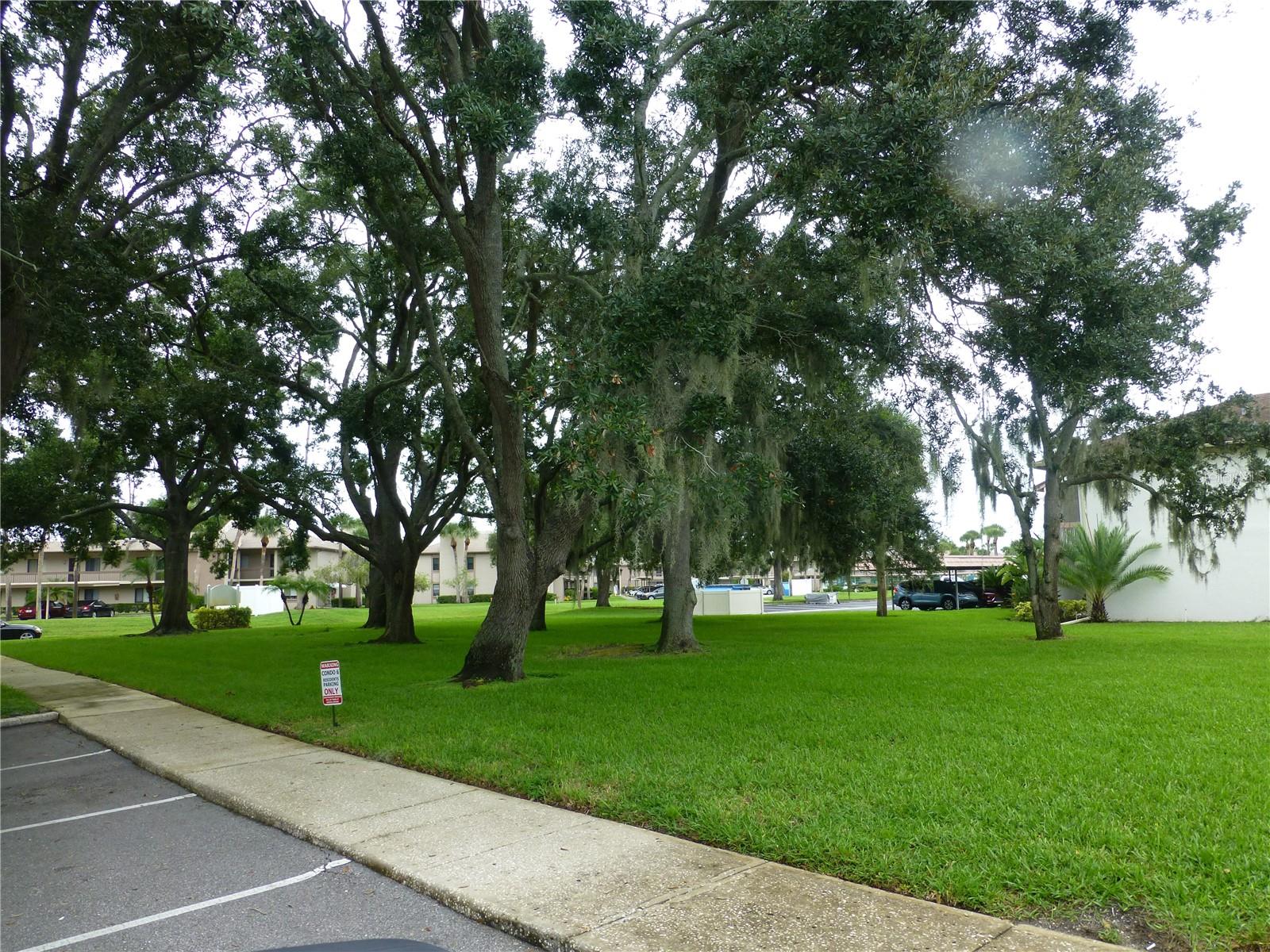 Image 18 of 18 For 110 Lakeside Drive 10