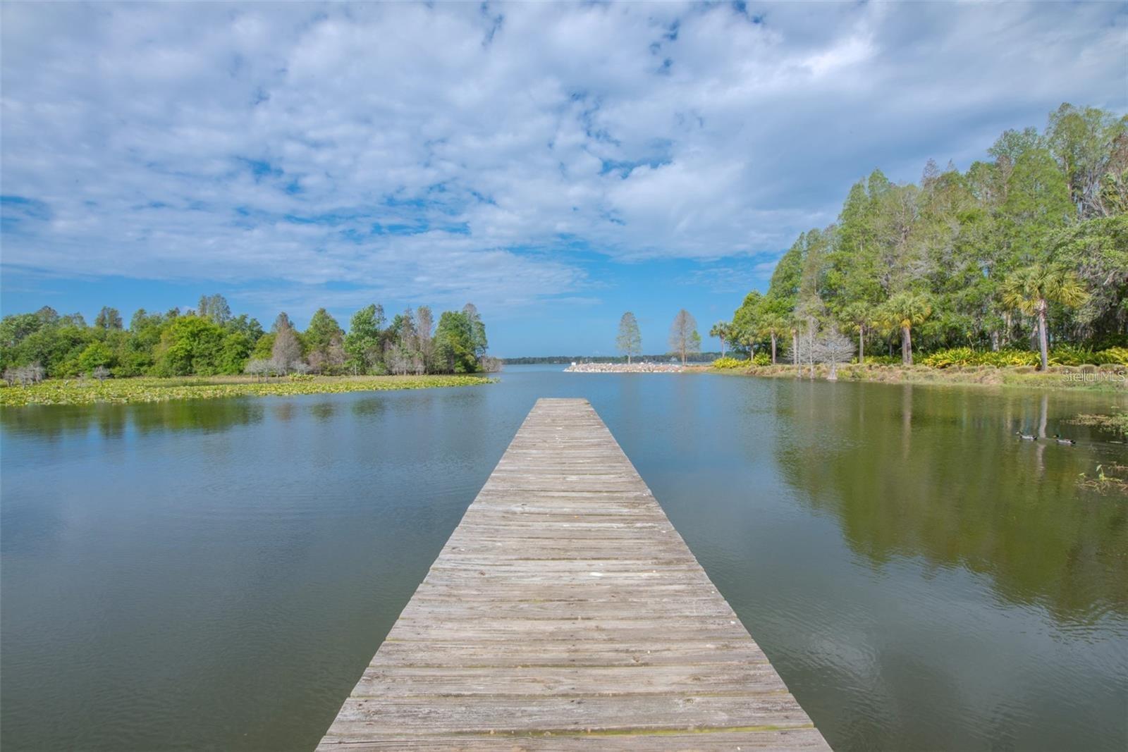 Image 91 of 96 For 12405 Stonelake Ranch Blvd