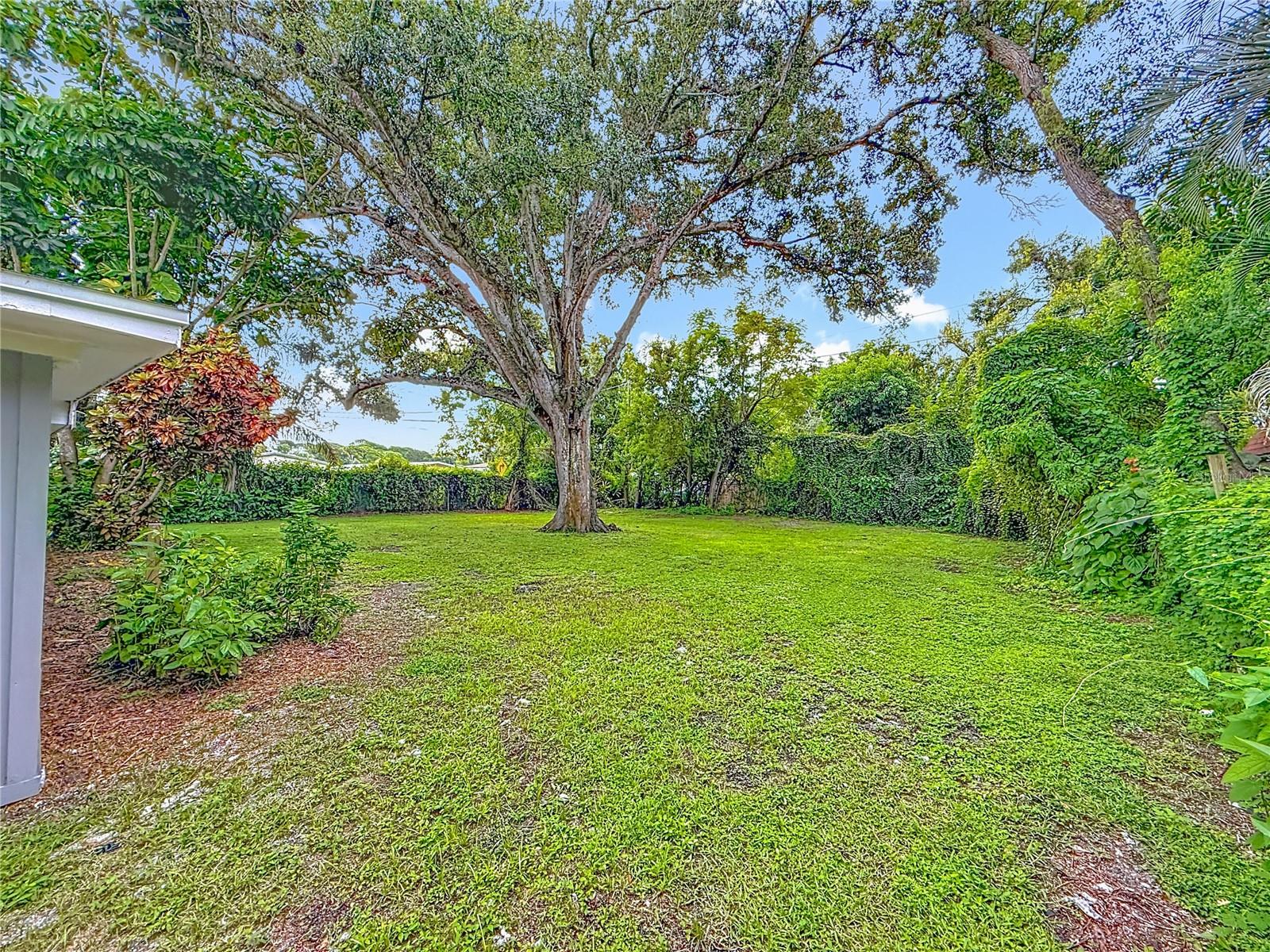 Image 45 of 63 For 7902 49th Avenue N