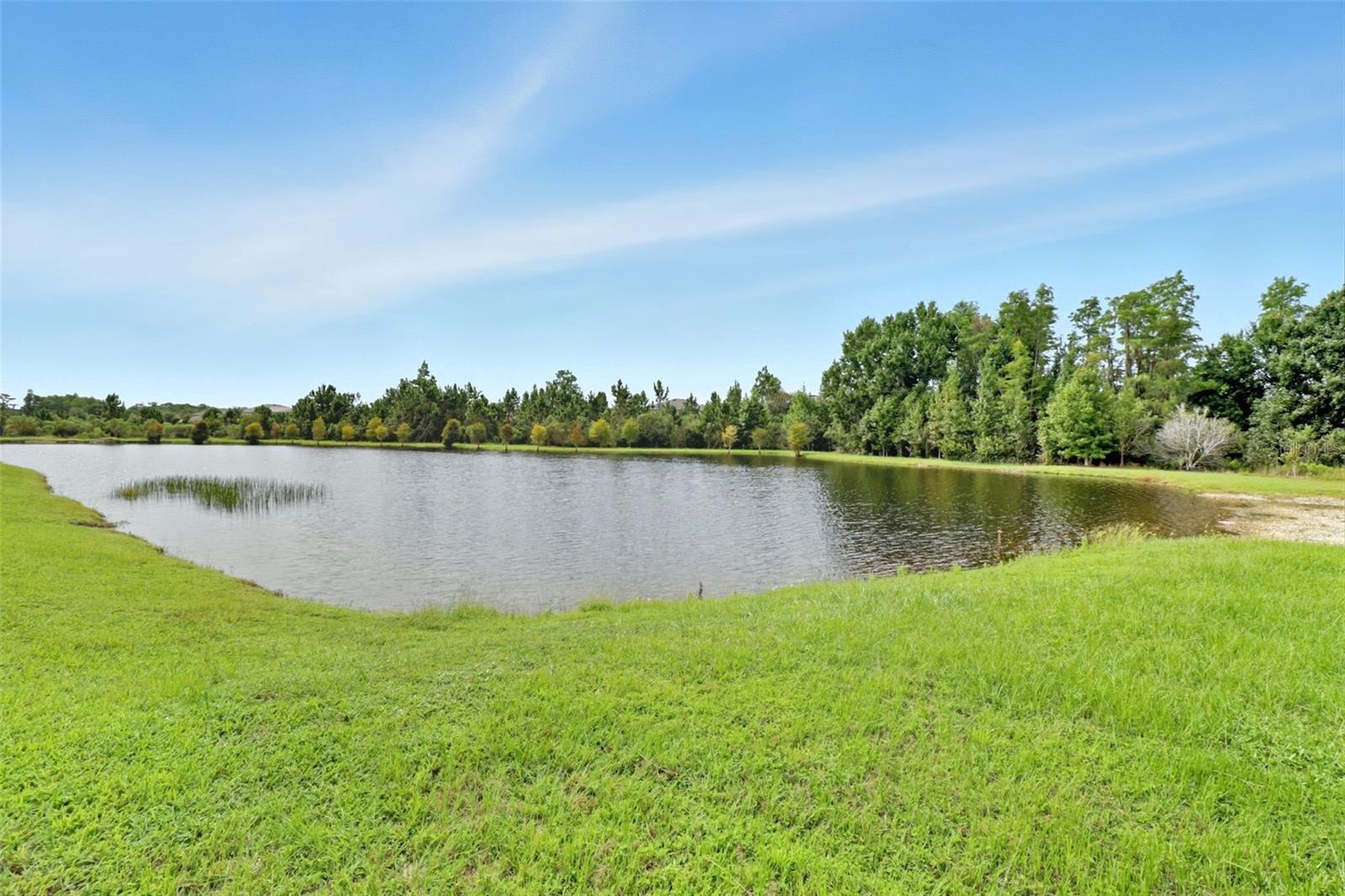 Image 33 of 88 For 17714 Everlong Drive