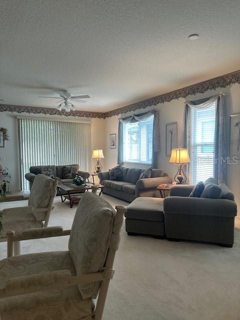 Image 3 of 30 For 30101 Emmetts Court