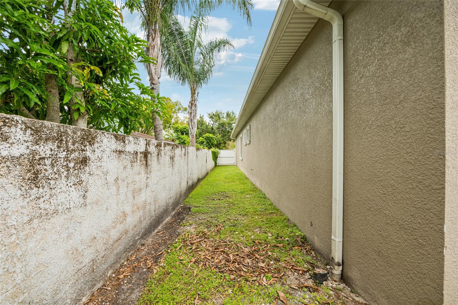 Image 36 of 40 For 4605 Wishart Boulevard