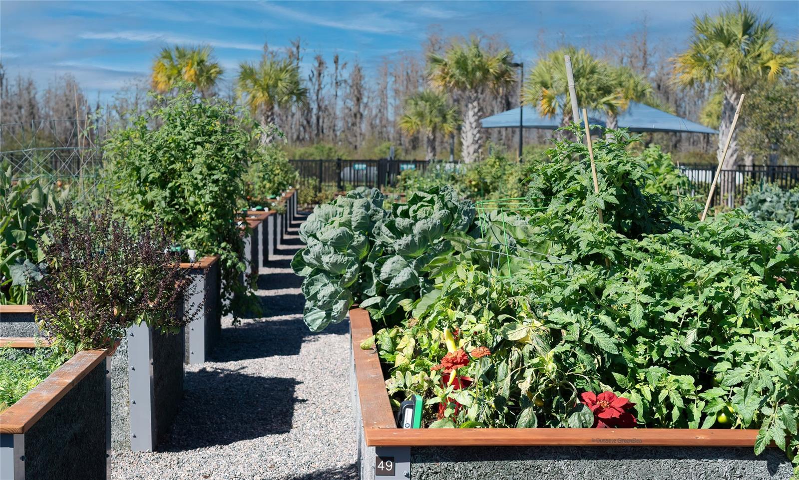 Image 54 of 68 For 18629 Coastal Shore Terrace