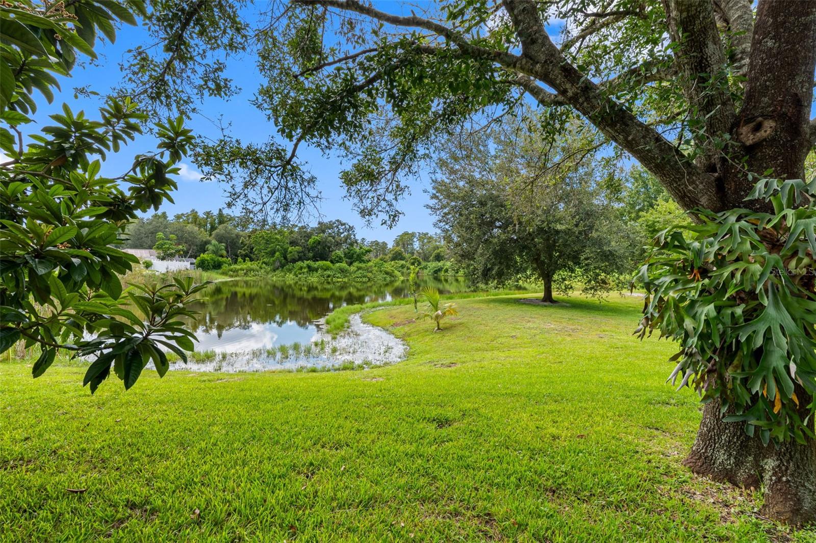 Image 43 of 57 For 9713 Long Meadow Drive