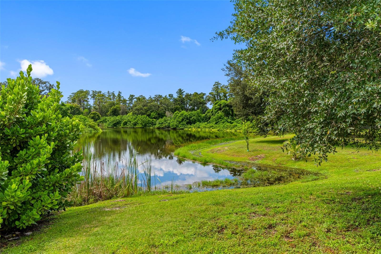 Image 47 of 57 For 9713 Long Meadow Drive