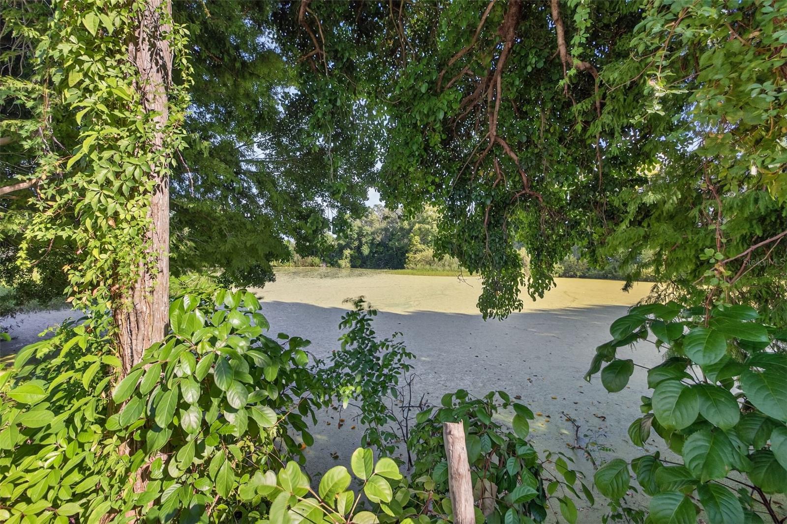 Image 31 of 36 For 8640 Gardenia Drive