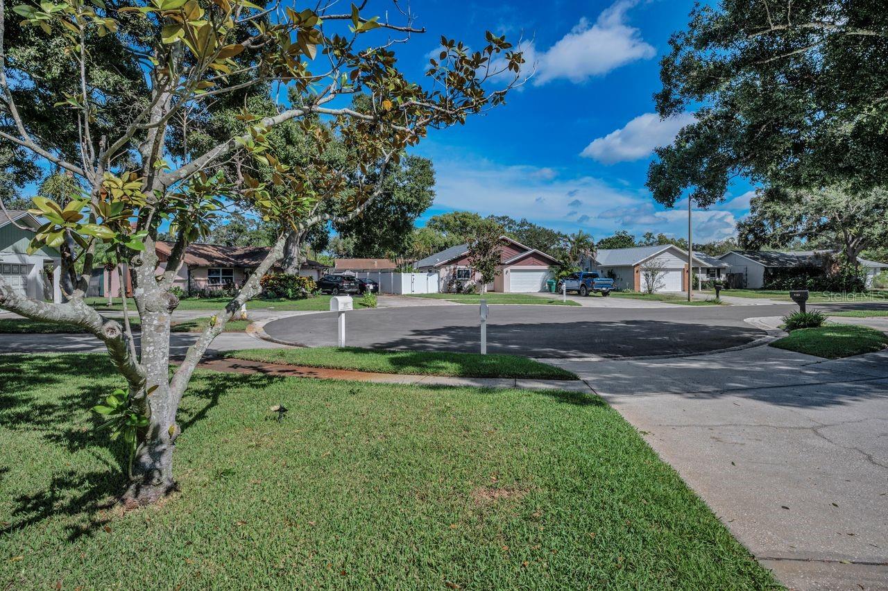 Image 47 of 48 For 8840 Magnolia Place