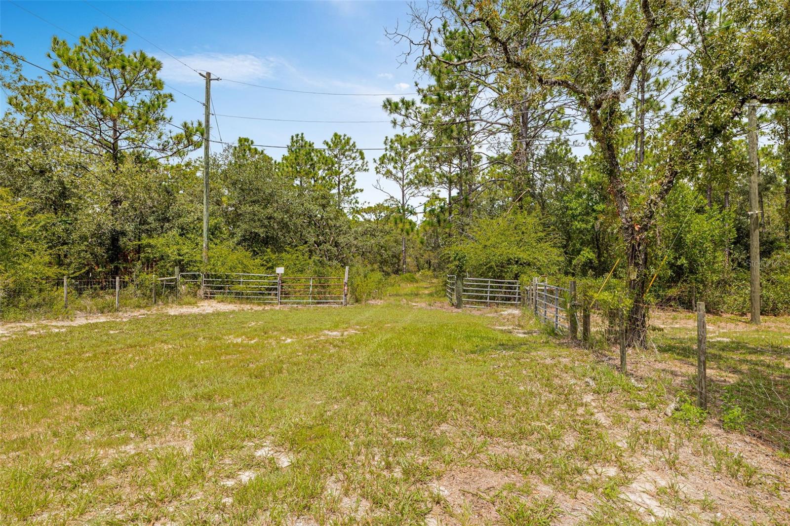 Listing photo id 2 for 6561 Short Point