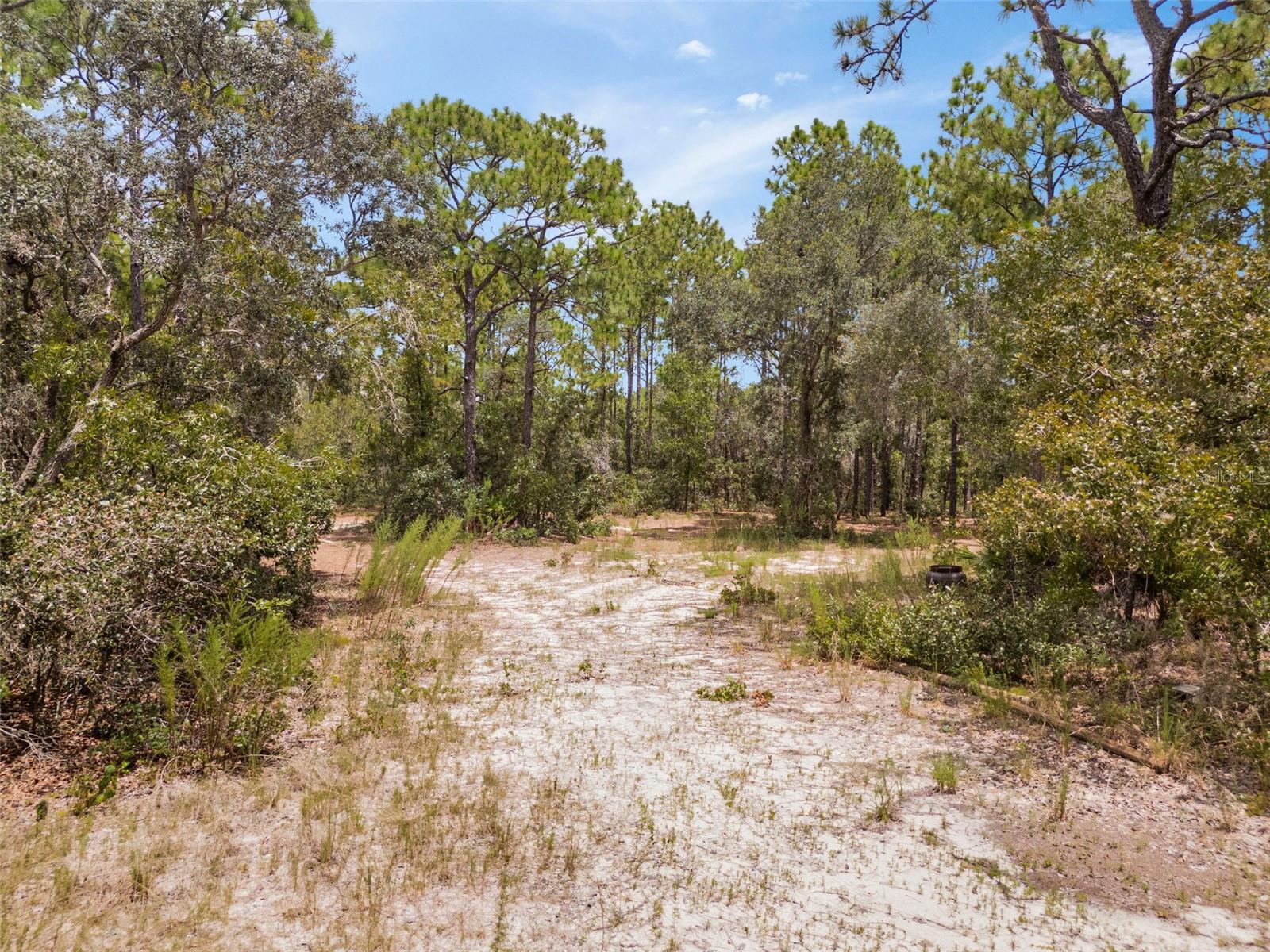 Listing photo id 4 for 6561 Short Point