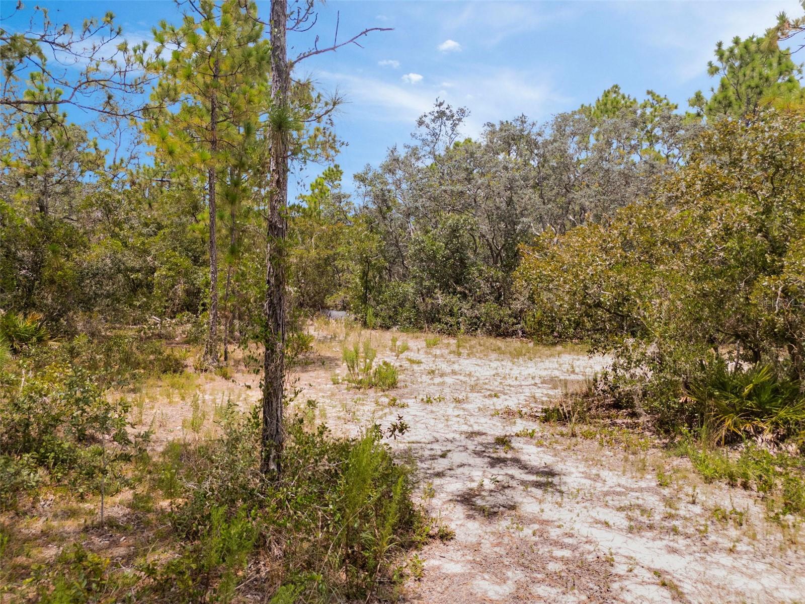 Listing photo id 5 for 6561 Short Point