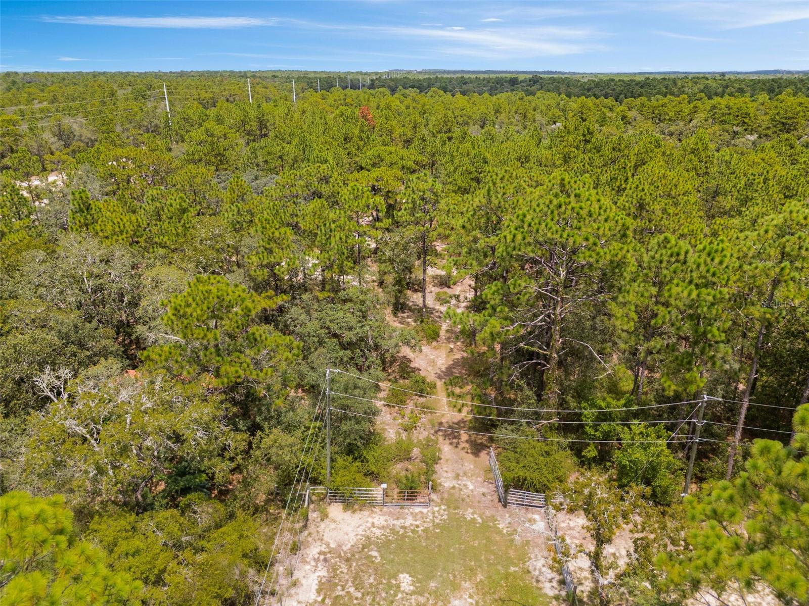 Listing photo id 6 for 6561 Short Point