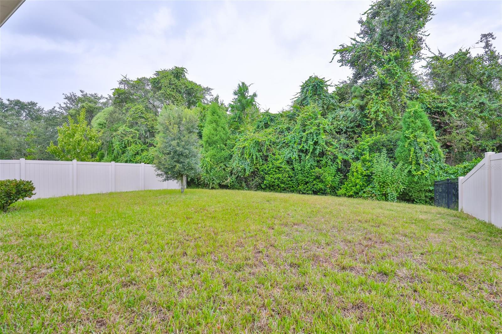 Image 40 of 48 For 11412 Blue Woods Drive