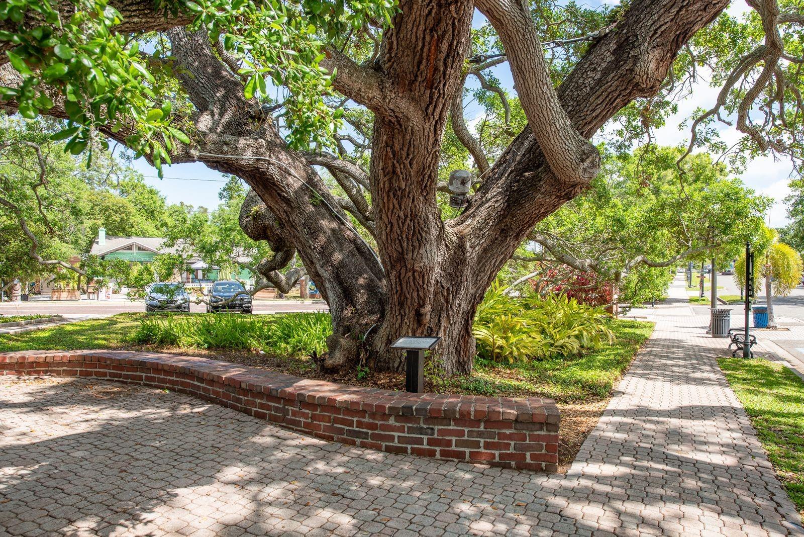 Image 37 of 39 For 2013 Princeton Avenue