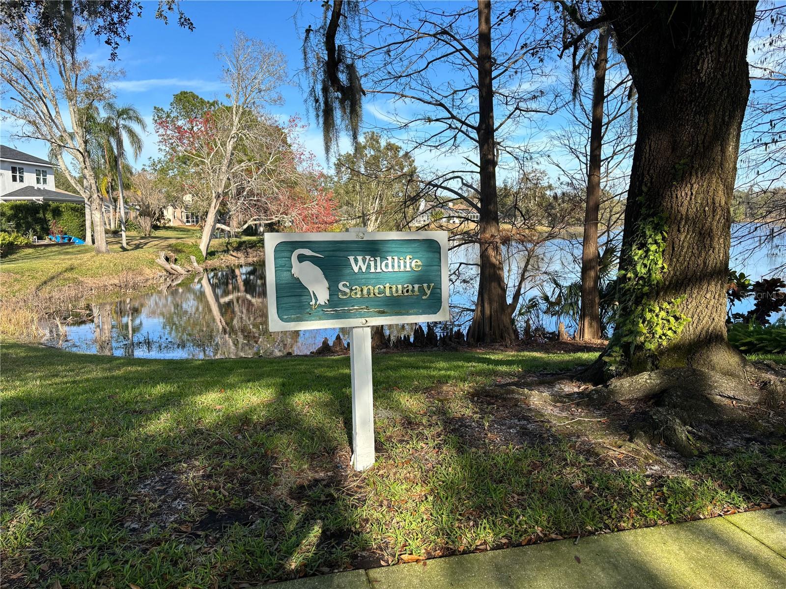 Image 13 of 37 For 16512 Blenheim Drive