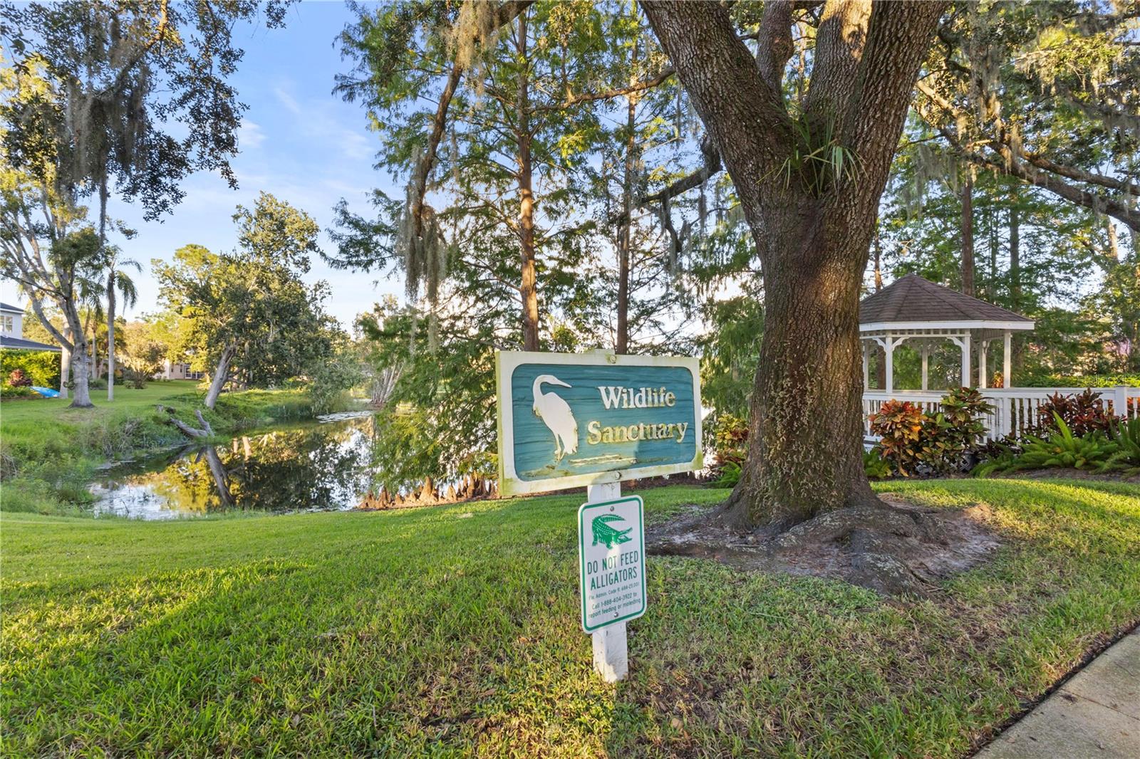 Image 51 of 52 For 16512 Blenheim Drive