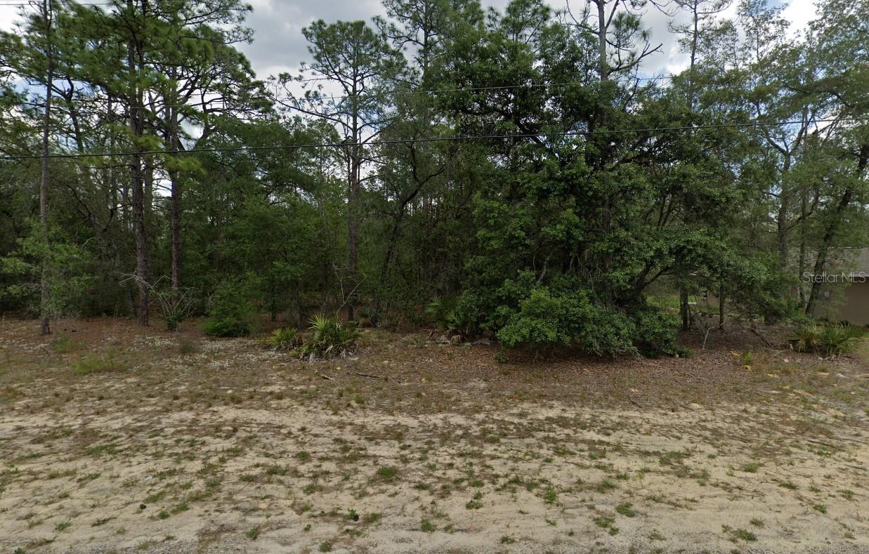 Details for 6299 Allston Terrace, CITRUS SPRINGS, FL 34433