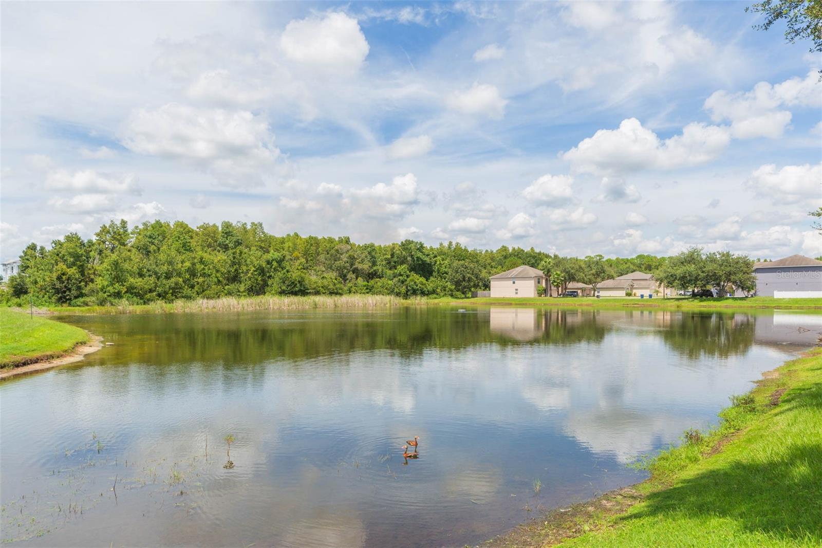 Image 51 of 57 For 3201 Bellericay Lane