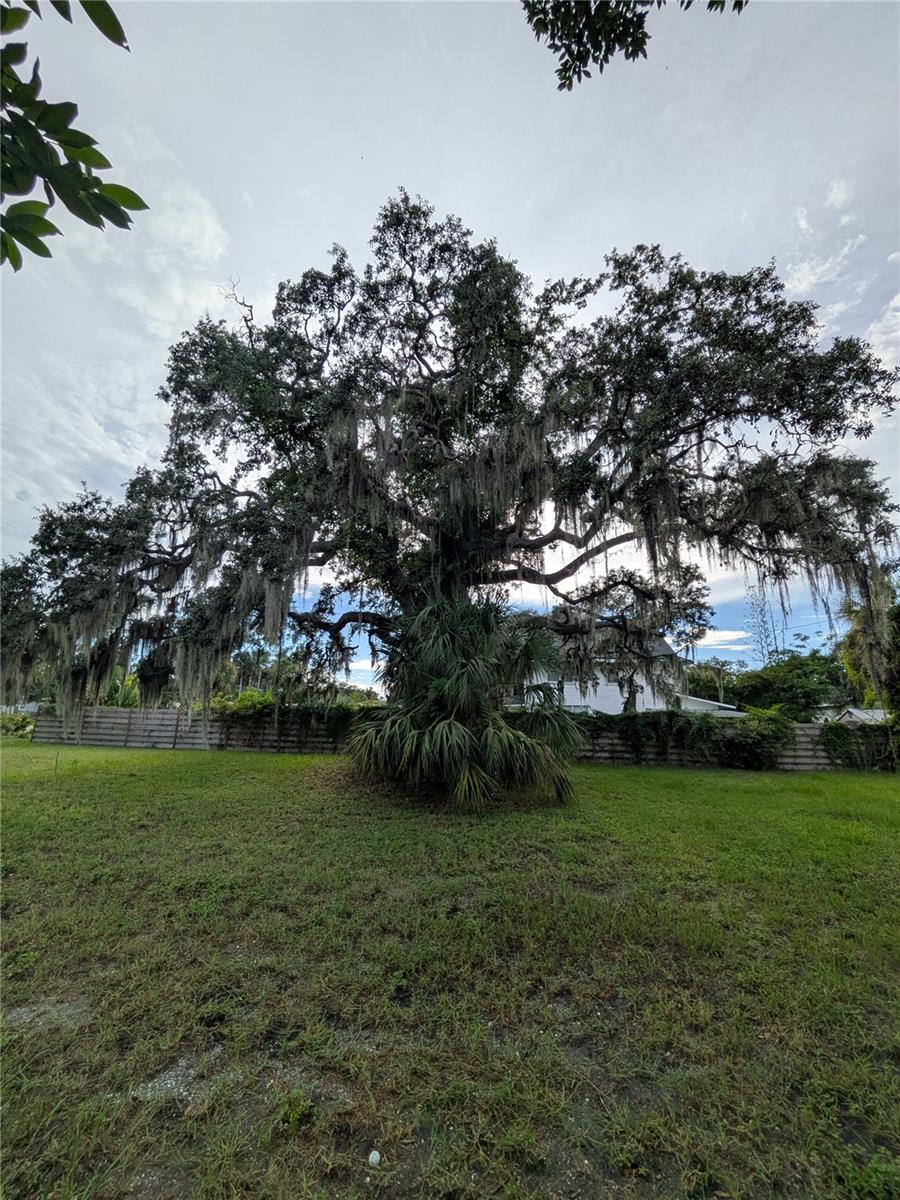 Image 6 of 9 For 731 36th Avenue S
