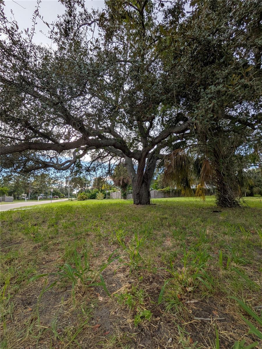 Image 8 of 9 For 731 36th Avenue S