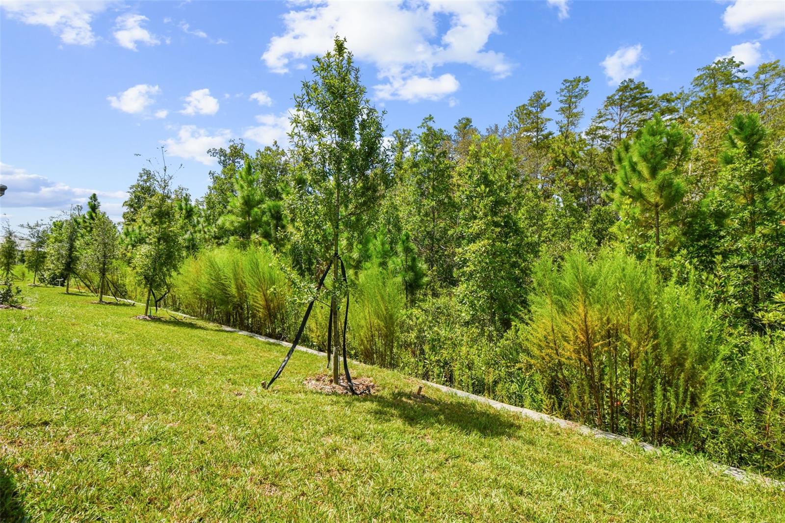 Image 8 of 26 For 9727 Minnow Ray Drive