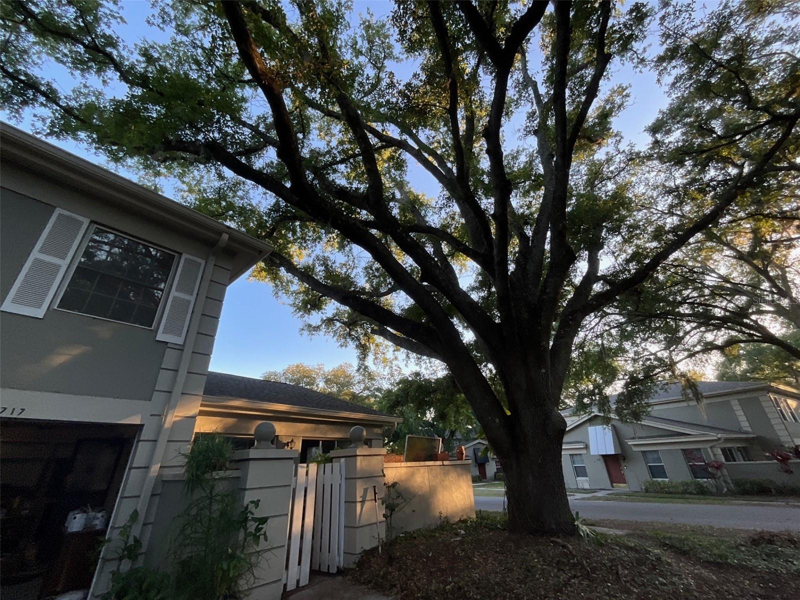 Image 4 of 4 For 11717 Raintree Drive