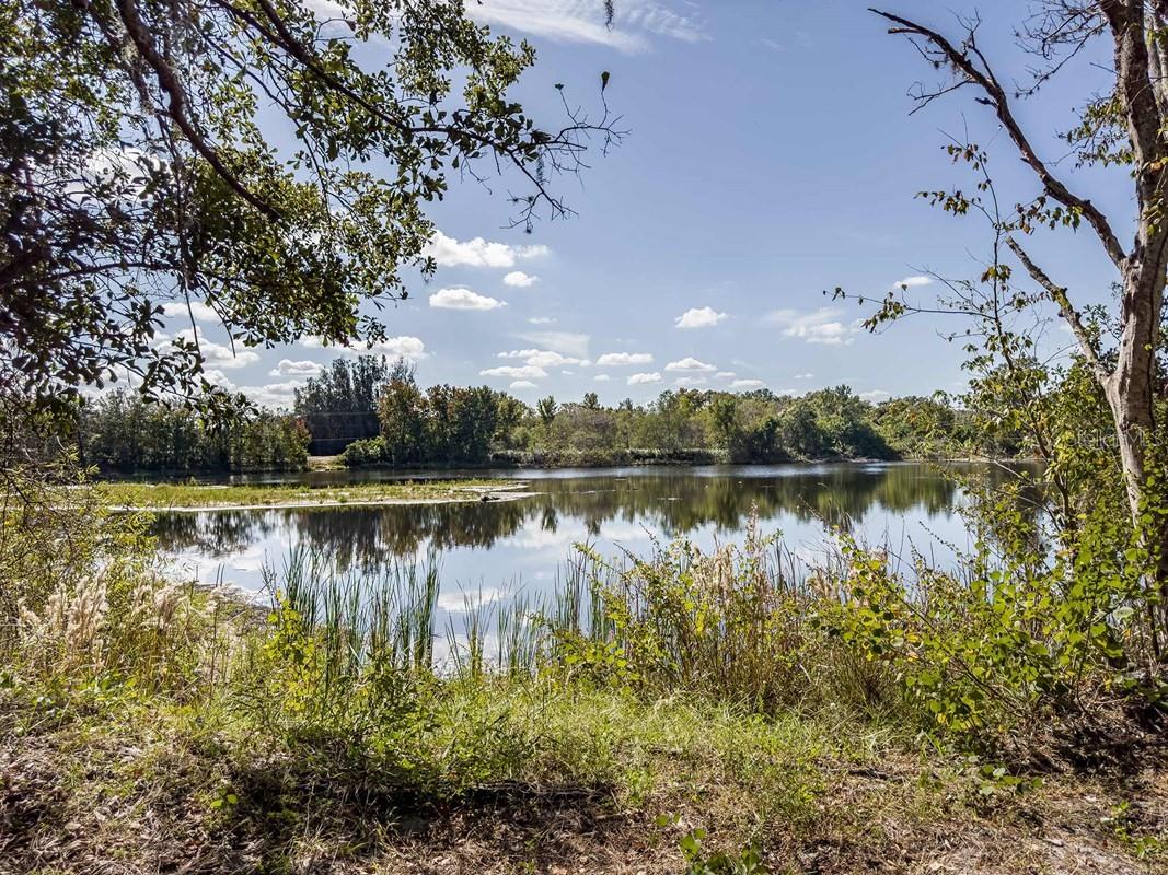 Listing photo id 40 for 11828 Mile Marsh Drive