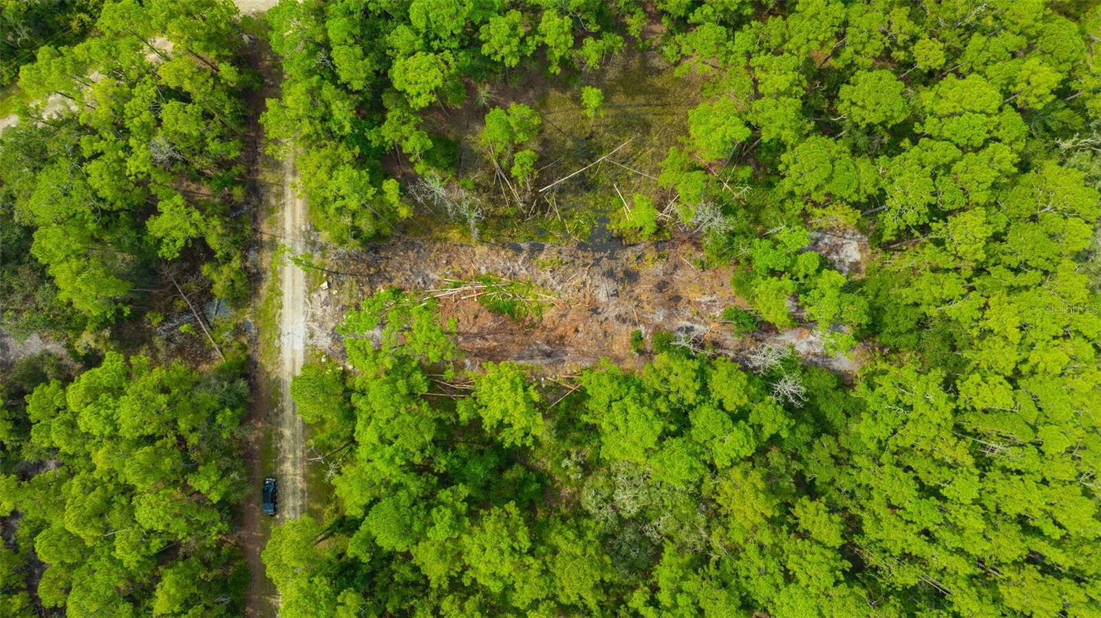 Image 11 of 18 For 34389 Grindstone Drive