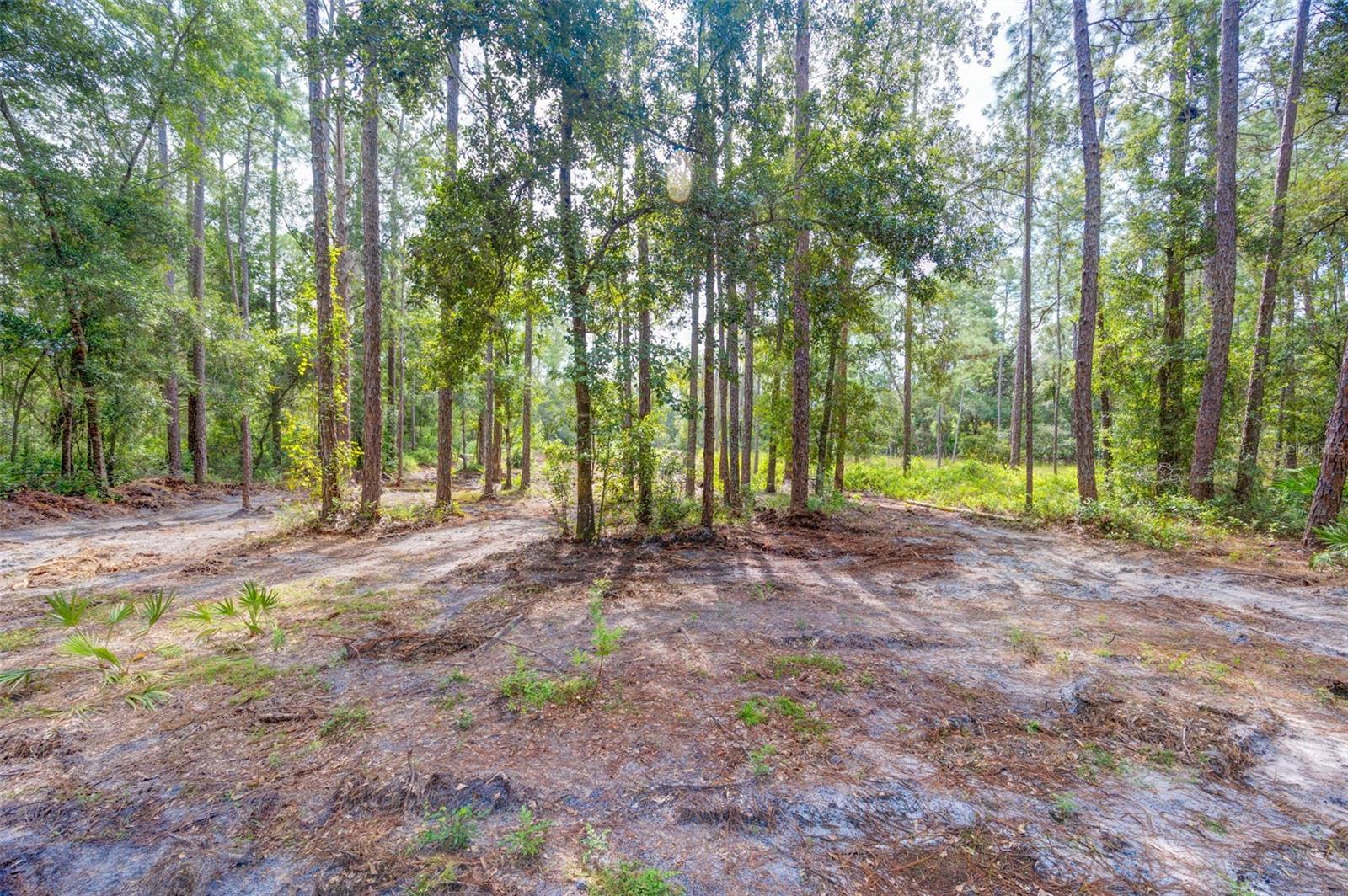 Image 2 of 18 For 34389 Grindstone Drive