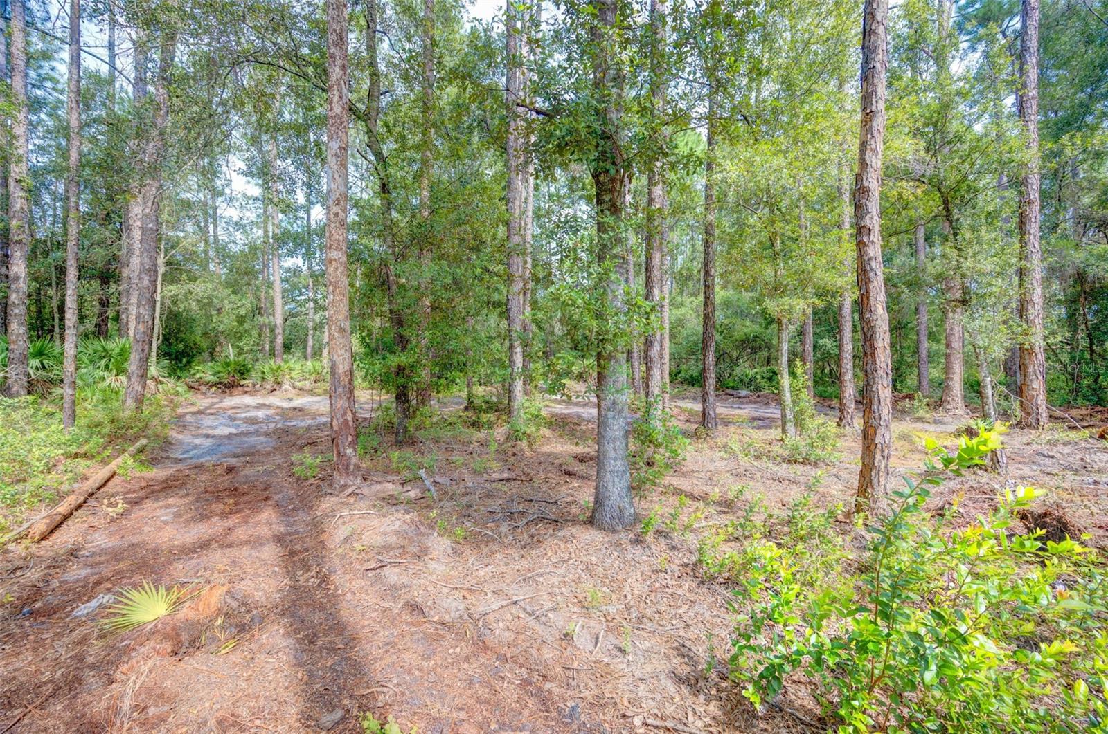 Image 3 of 18 For 34389 Grindstone Drive