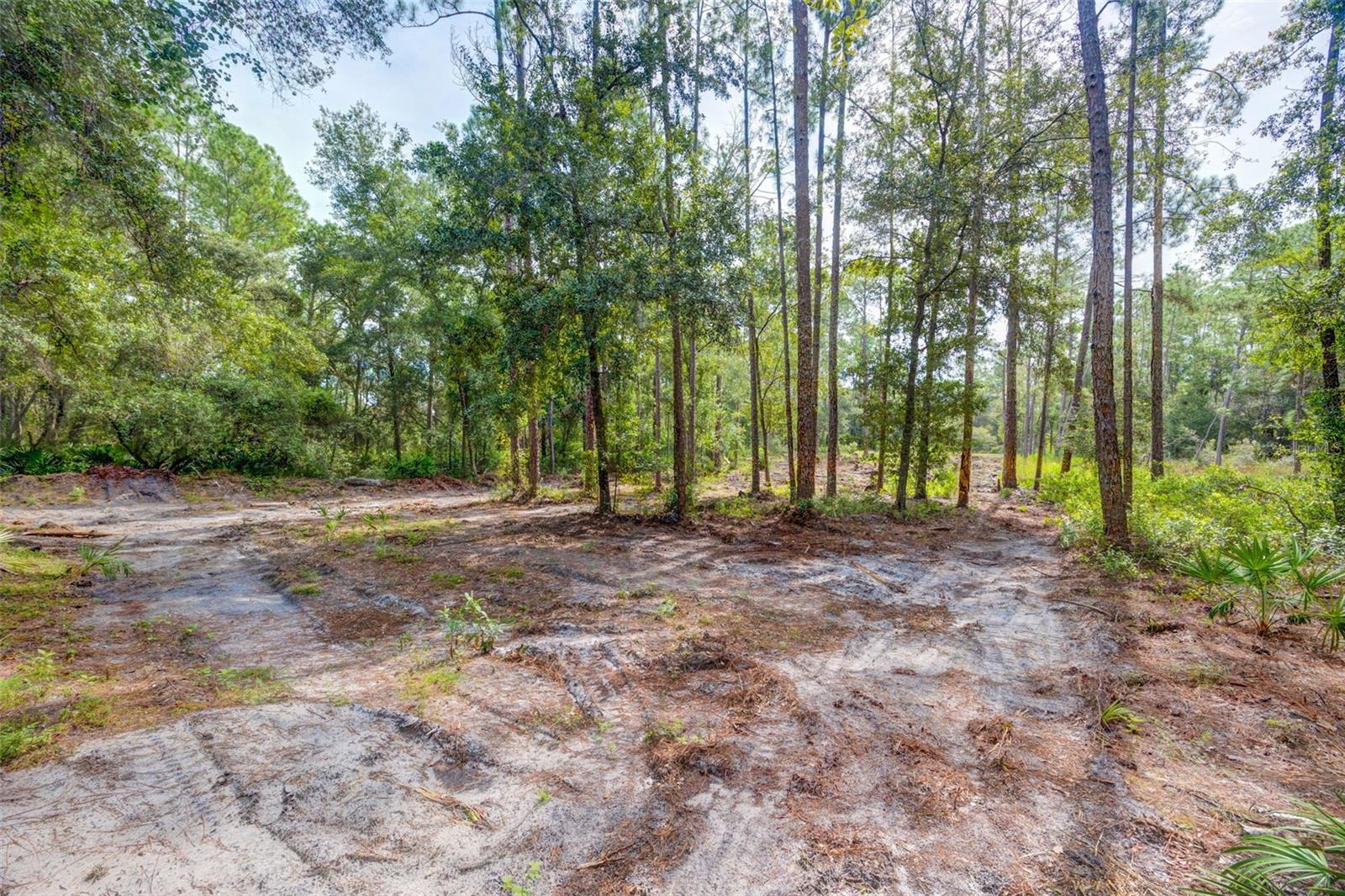 Image 5 of 18 For 34389 Grindstone Drive