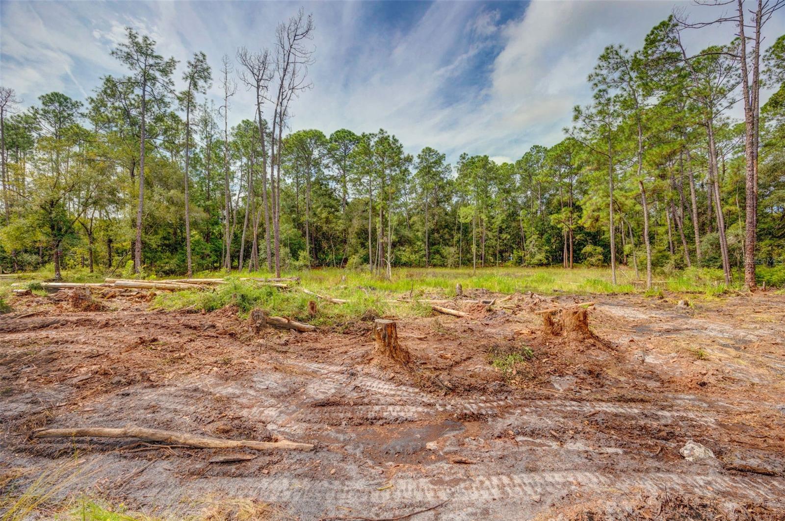 Image 6 of 18 For 34389 Grindstone Drive