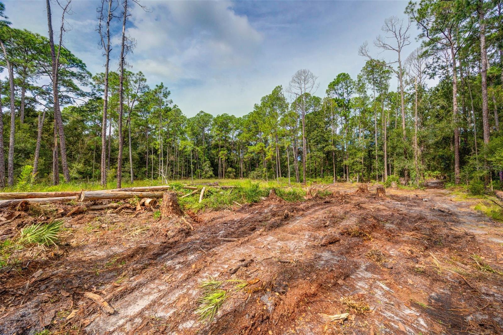 Image 7 of 18 For 34389 Grindstone Drive