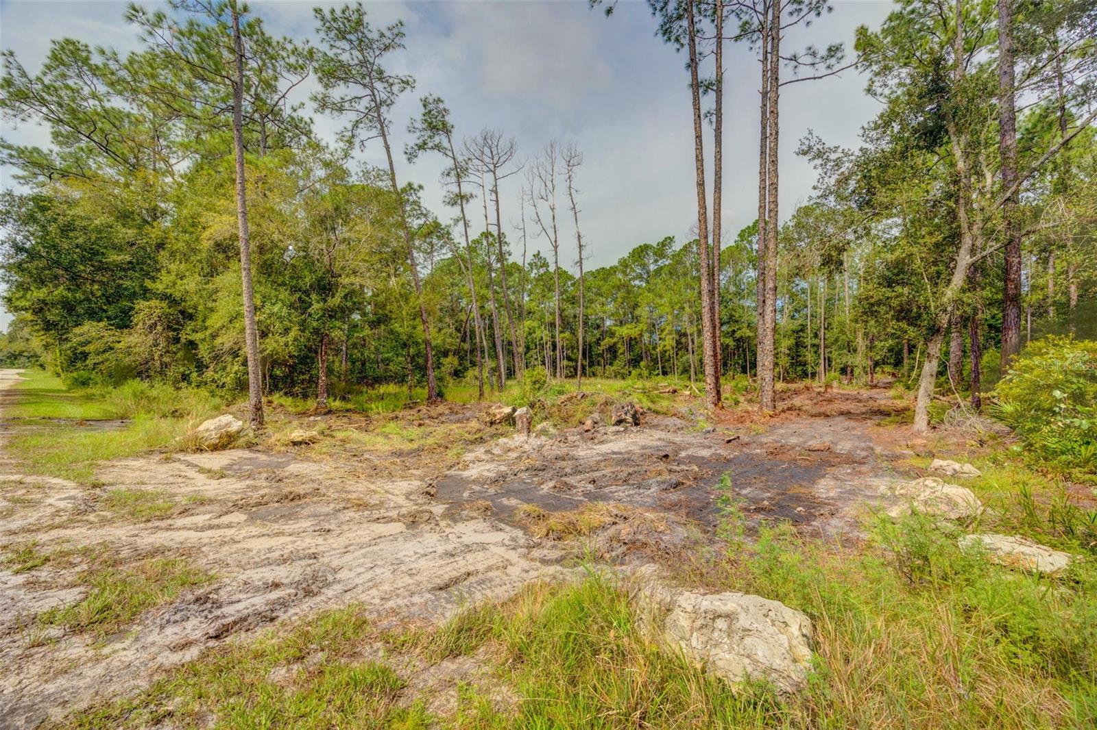 Image 8 of 18 For 34389 Grindstone Drive