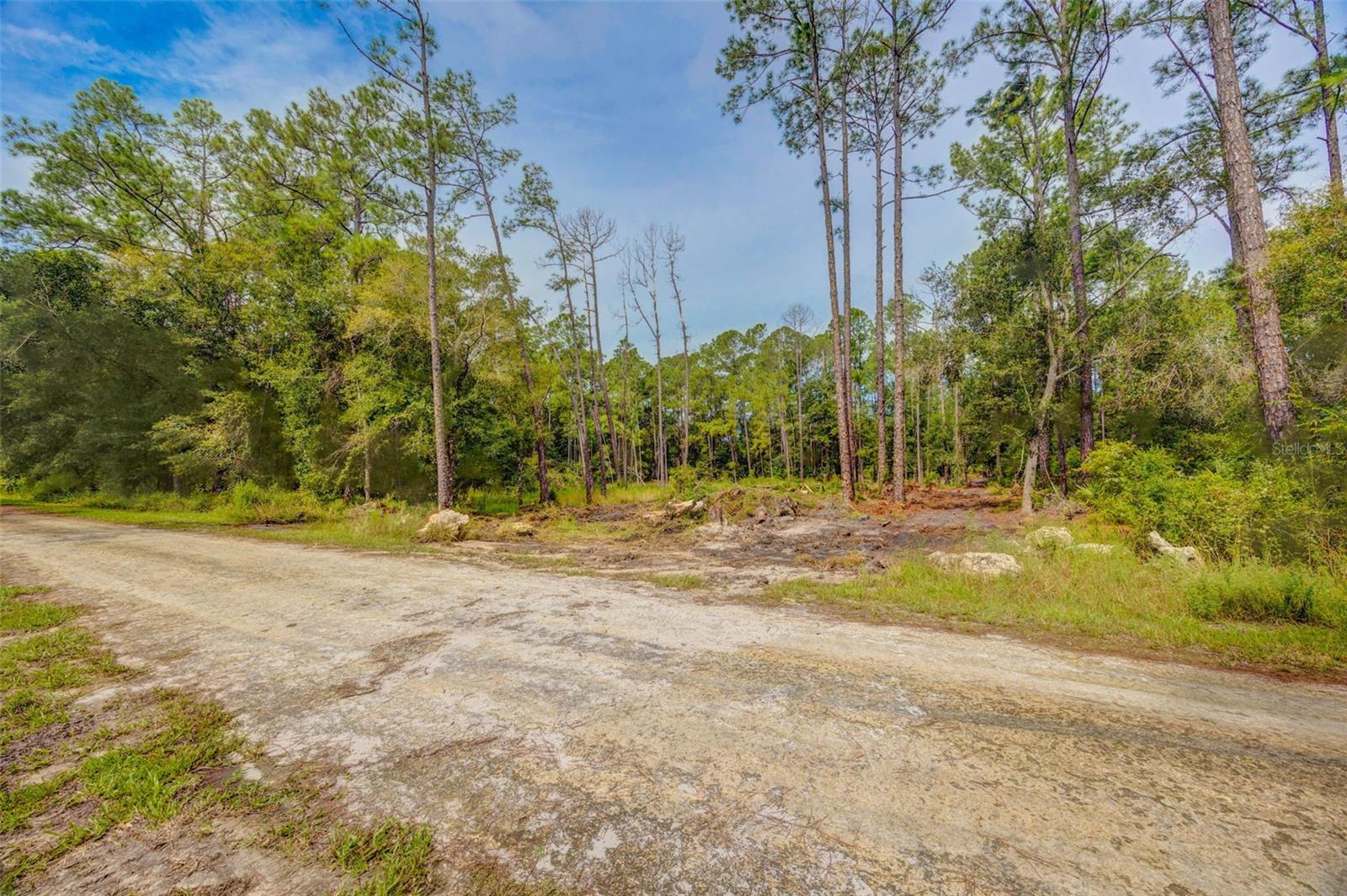 Image 9 of 18 For 34389 Grindstone Drive