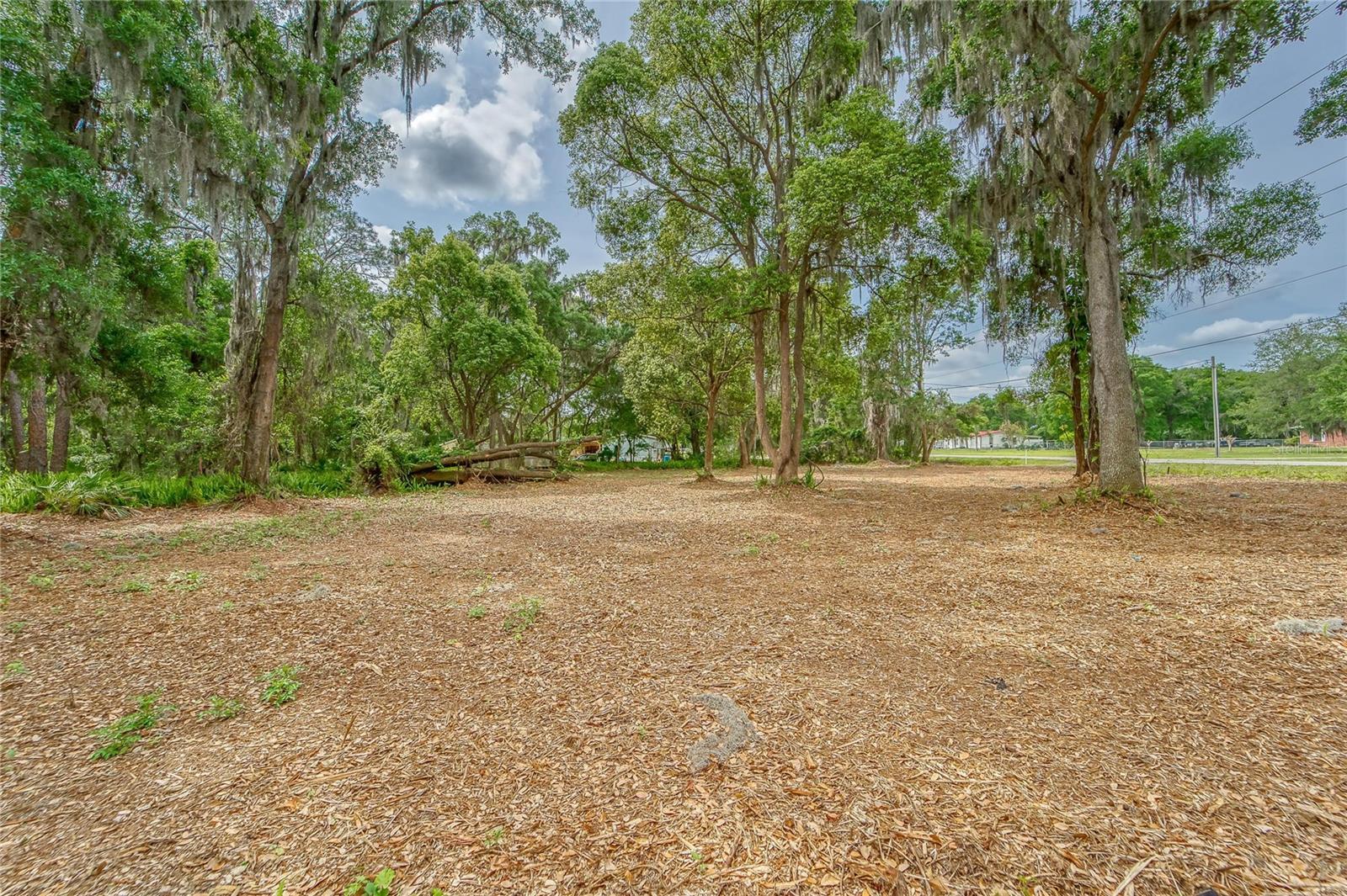 Image 12 of 36 For Turkey Creek