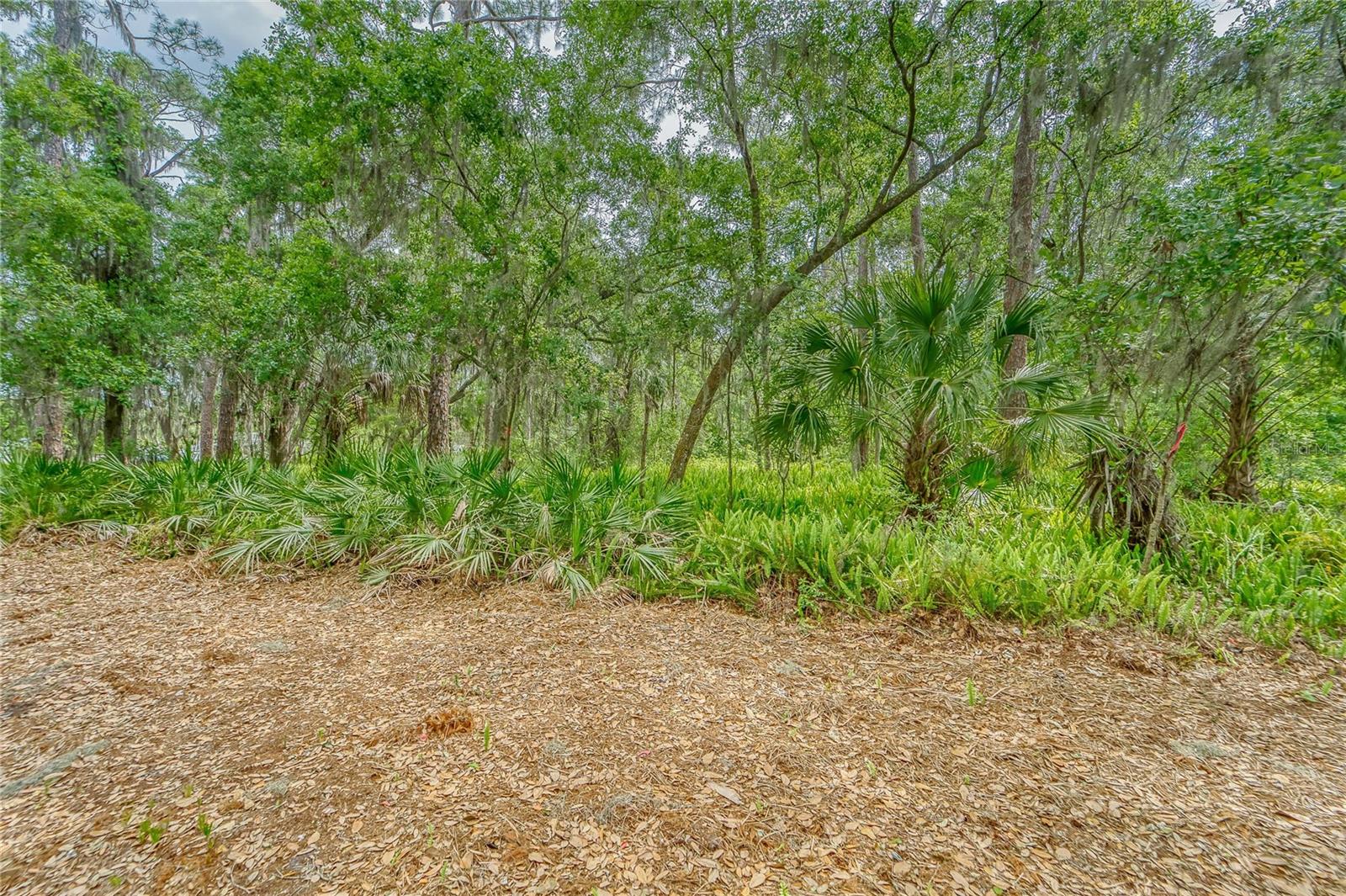 Image 14 of 36 For Turkey Creek