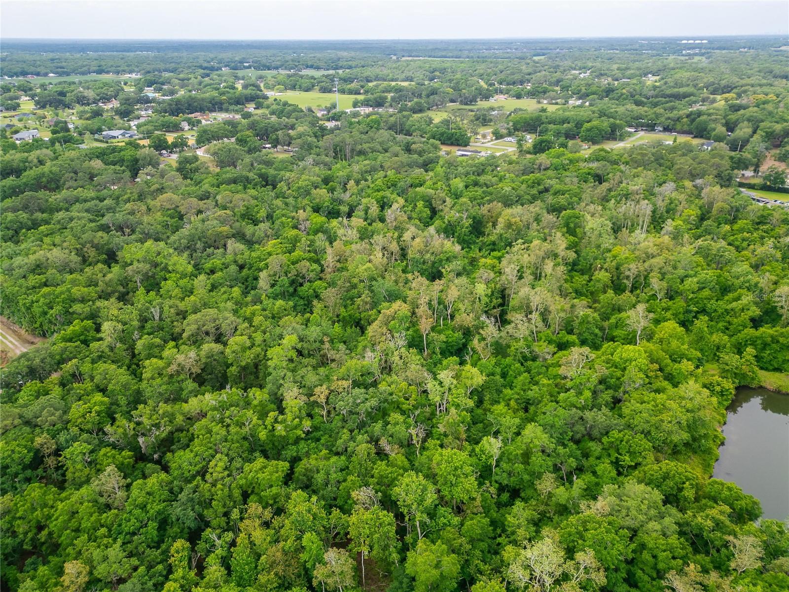 Image 19 of 36 For Turkey Creek