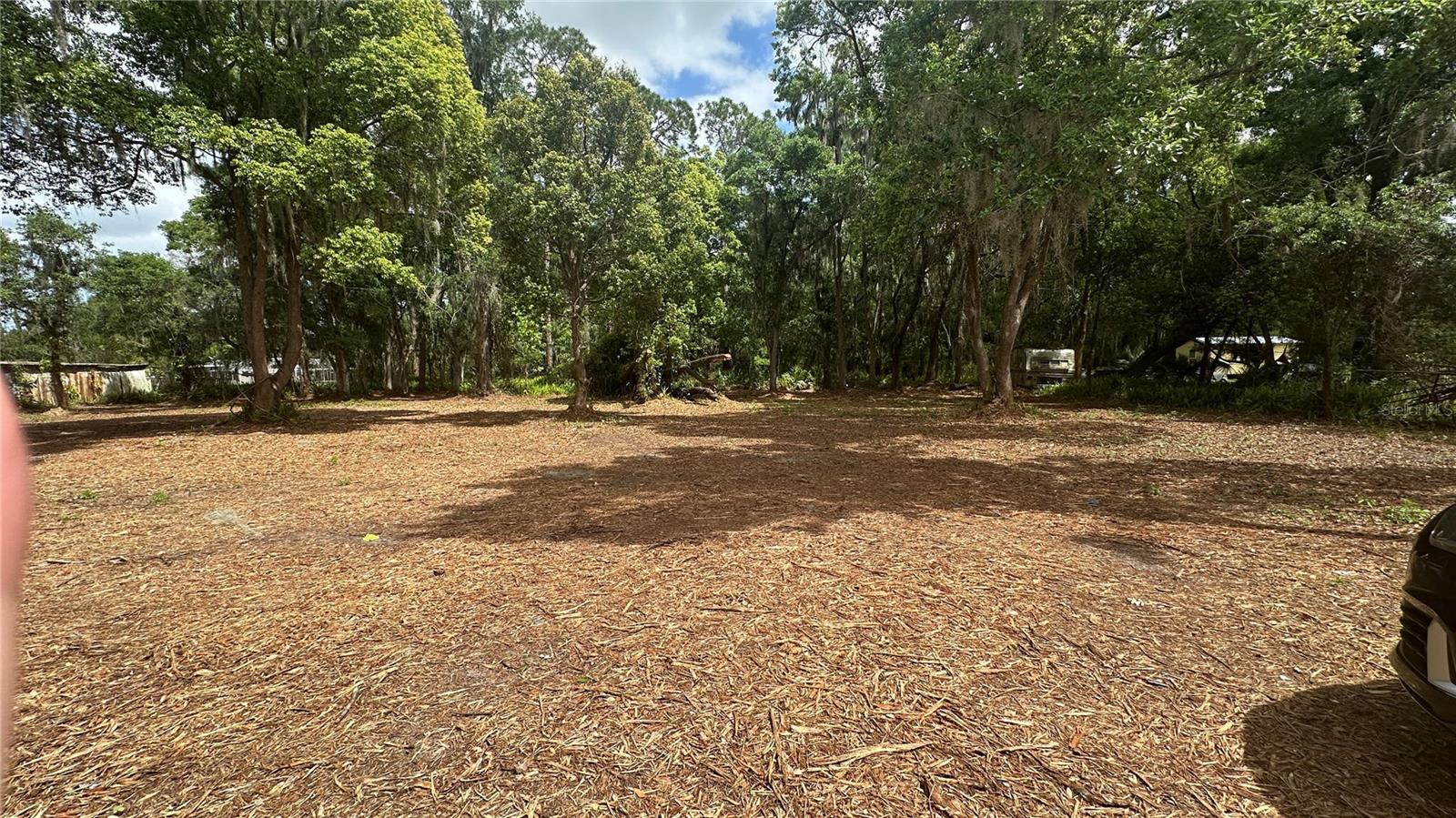 Image 2 of 36 For Turkey Creek