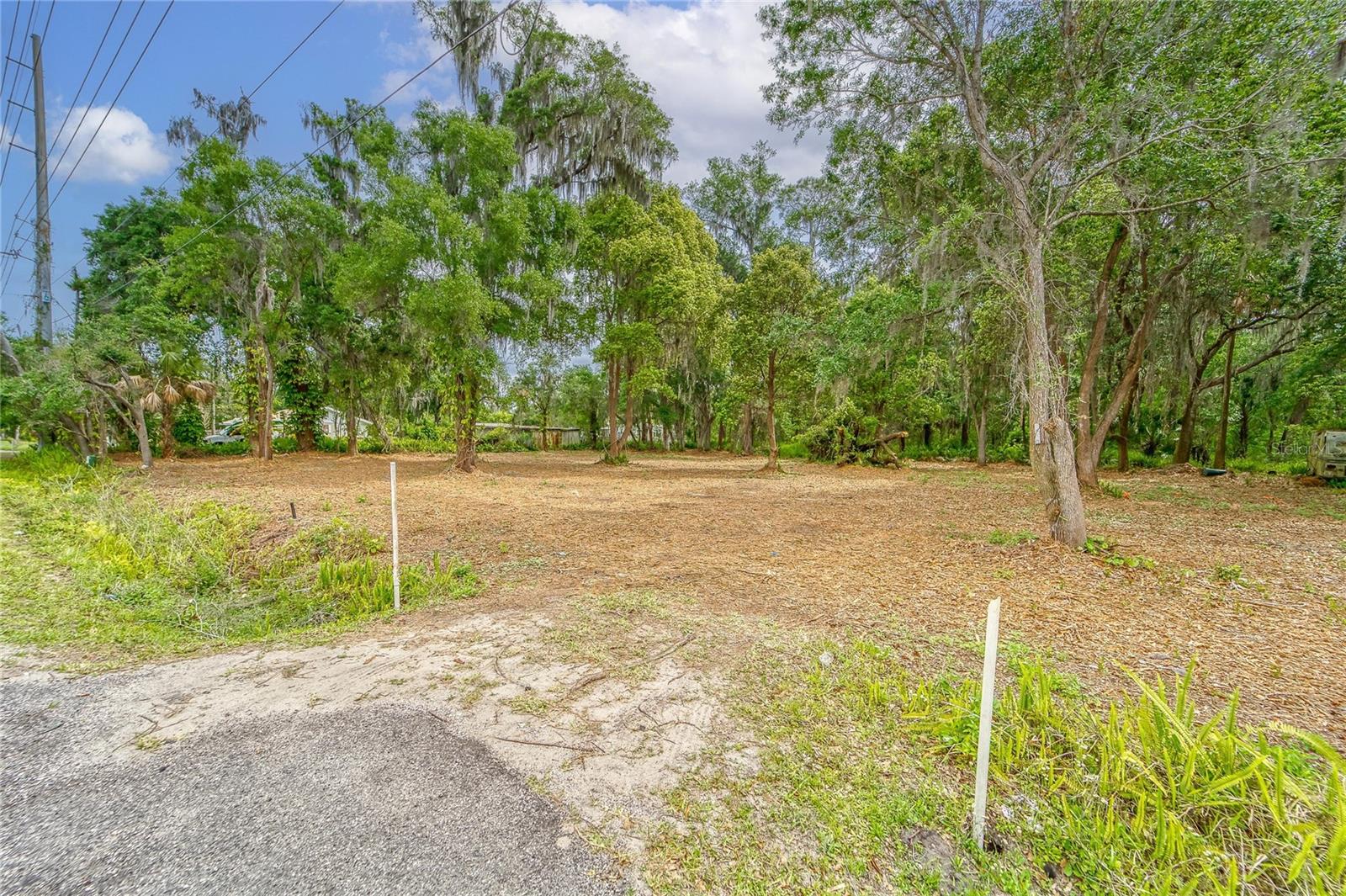 Image 20 of 36 For Turkey Creek