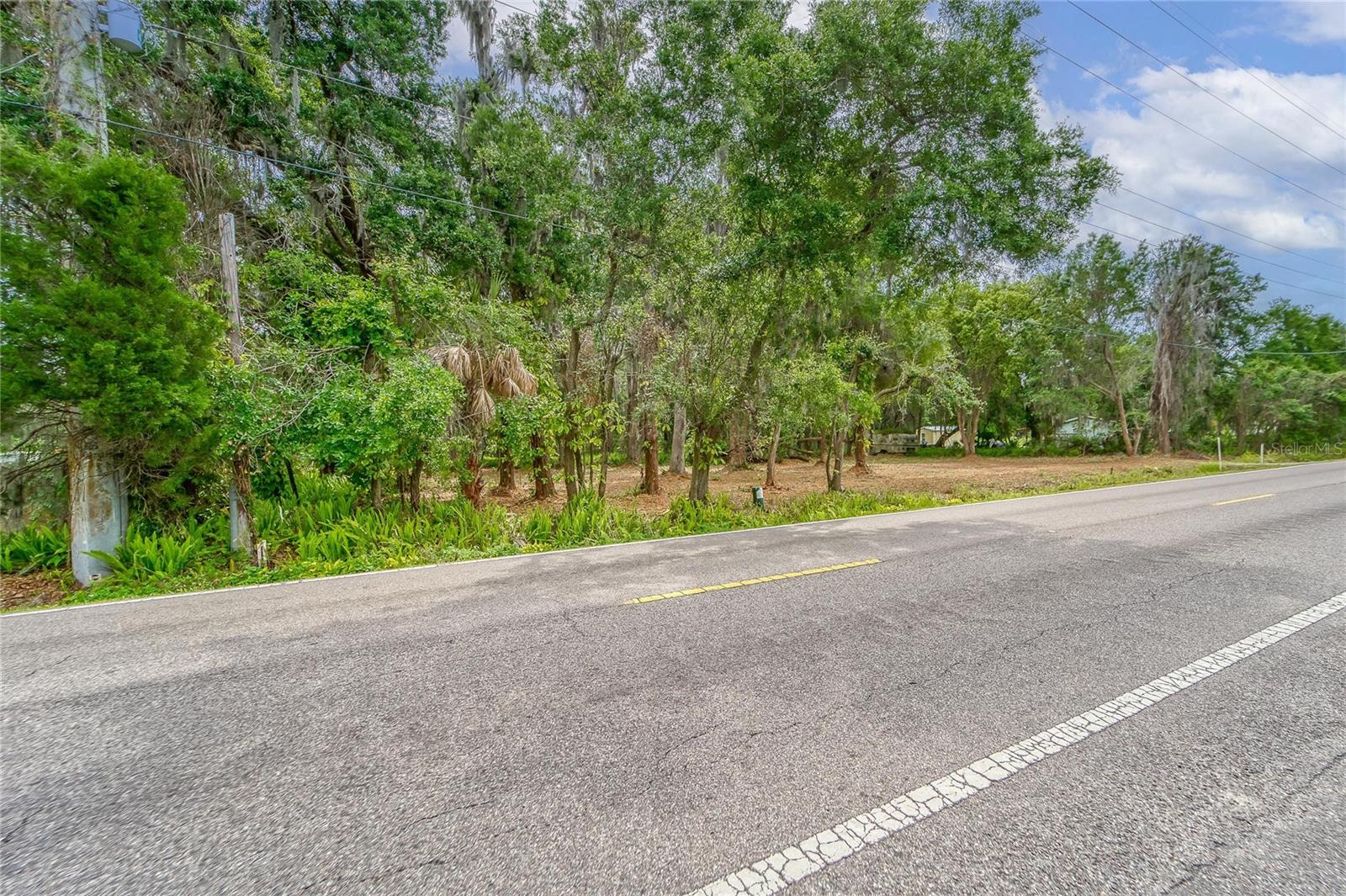 Image 23 of 36 For Turkey Creek