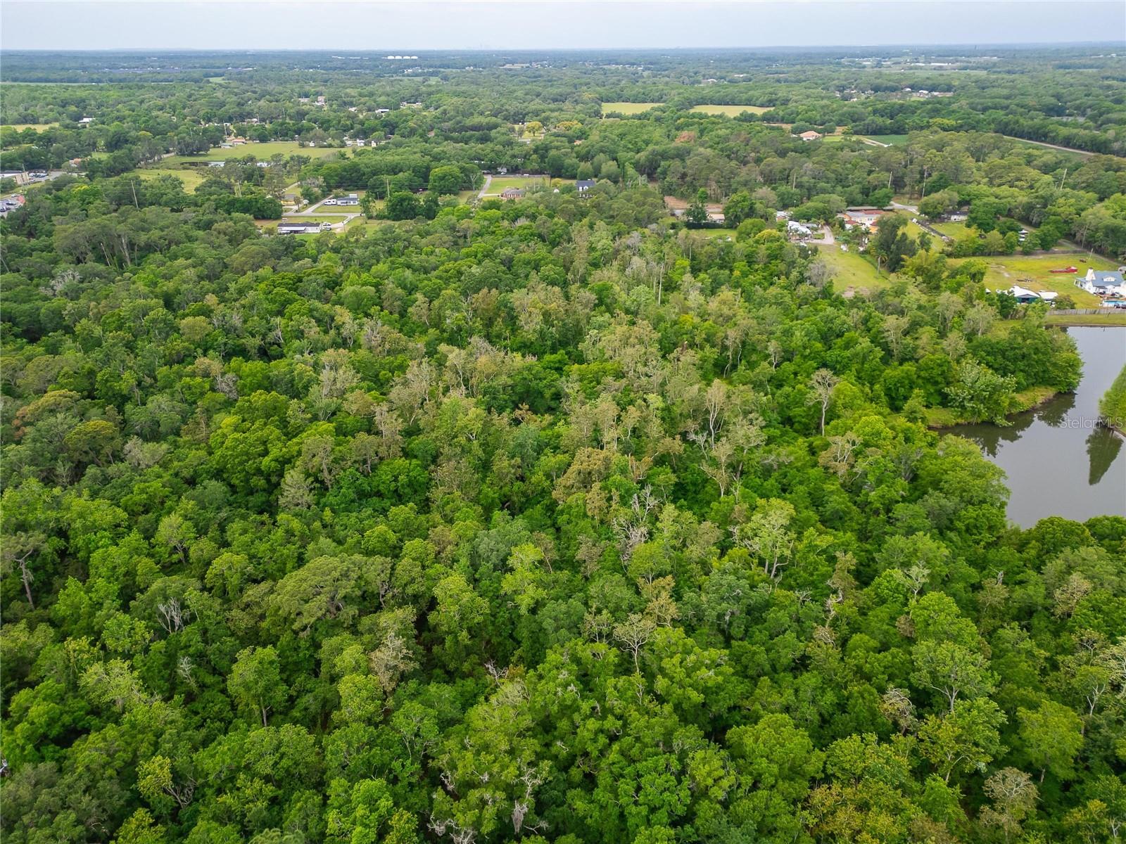 Image 27 of 36 For Turkey Creek