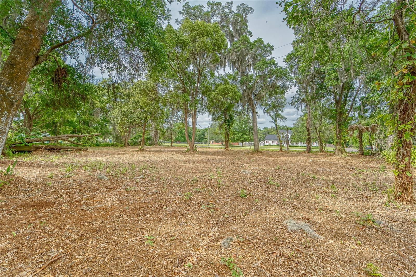 Image 29 of 36 For Turkey Creek